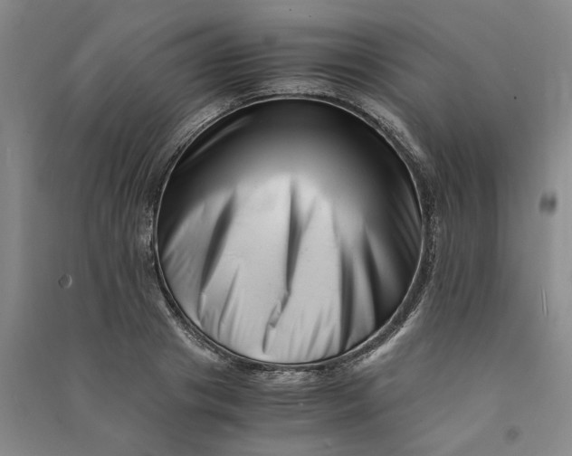 X0000090880841200708171644