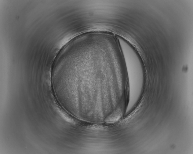 X0000090880842200708171644