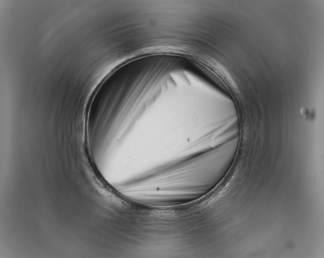 X0000090880844200708171644