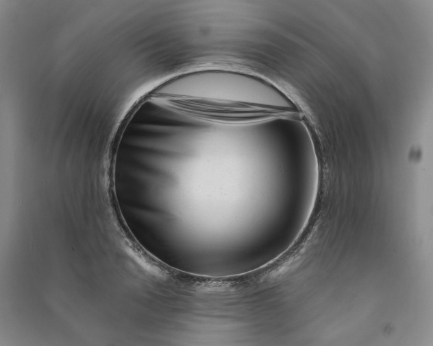 X0000090880846200708171644