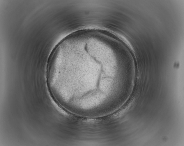 X0000090880847200708171644