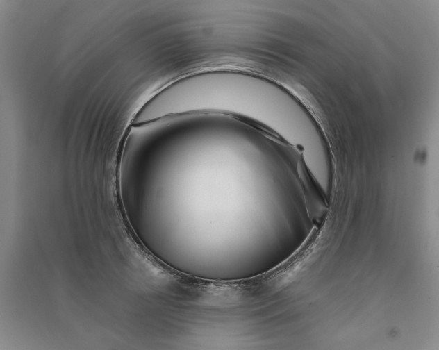 X0000090880850200708171644