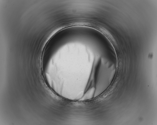 X0000090880852200708171644