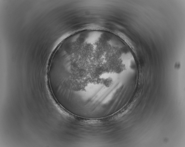 X0000090880853200708171644