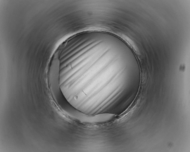 X0000090880854200708171644