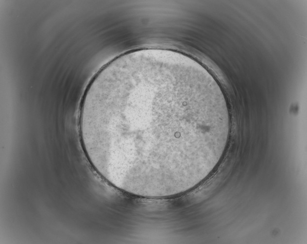 X0000090880856200708171644