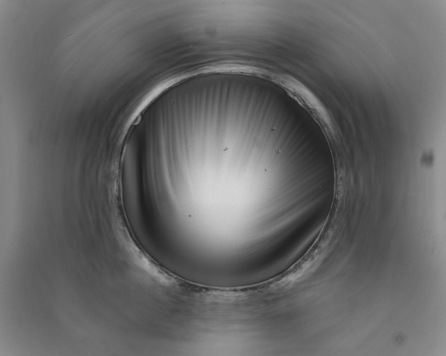 X0000090880860200708171644