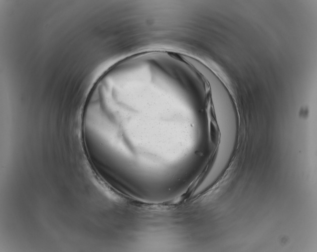 X0000090880862200708171644