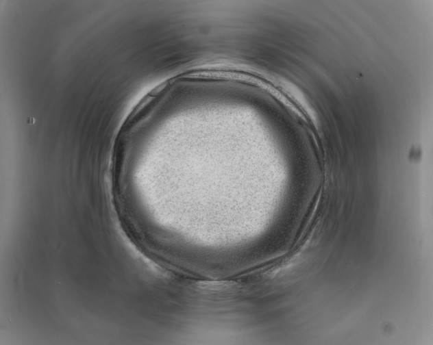 X0000090880863200708171644