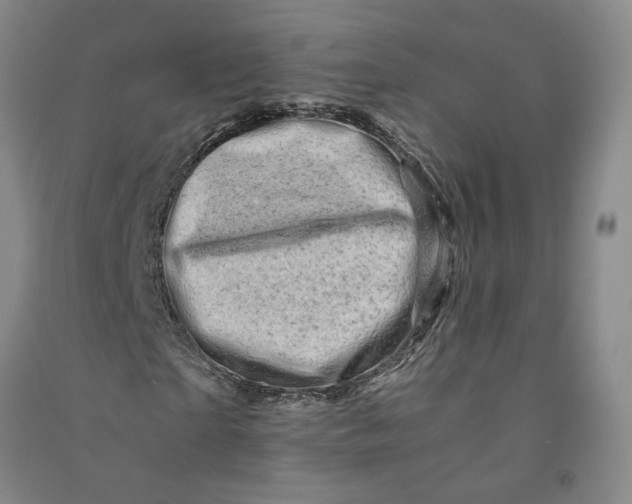 X0000090880865200708171644