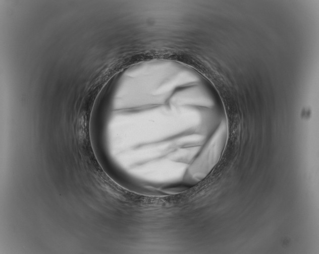 X0000090880866200708171644