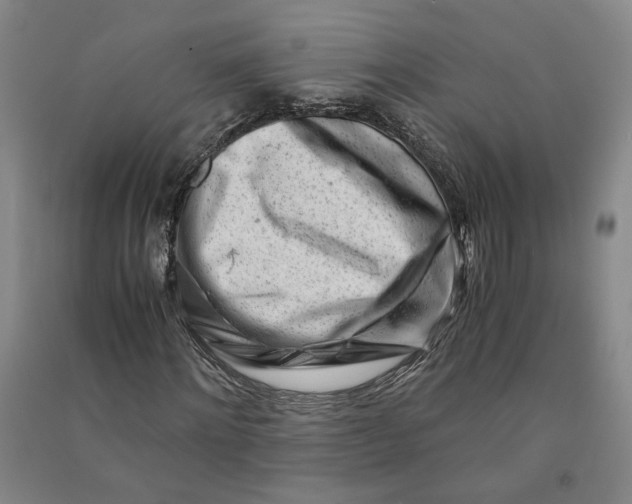 X0000090880868200708171644