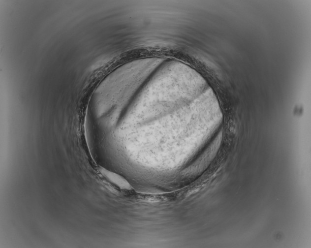 X0000090880869200708171644