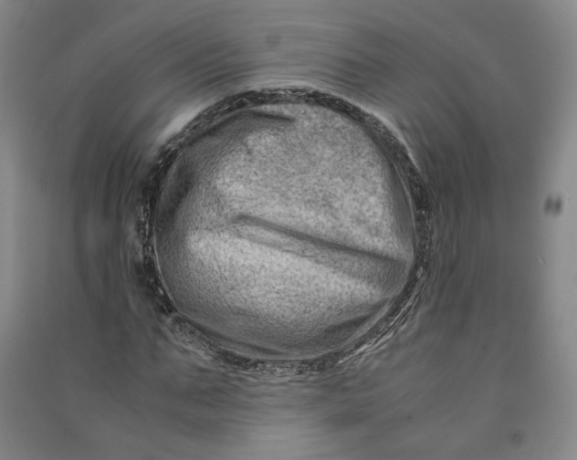 X0000090880871200708171644