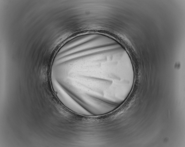 X0000090880873200708171643
