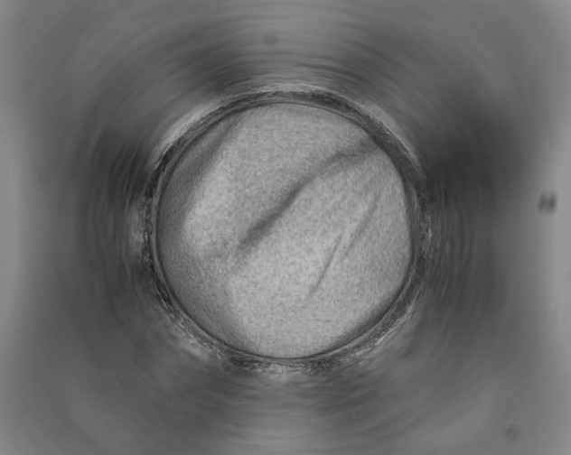 X0000090880874200708171643