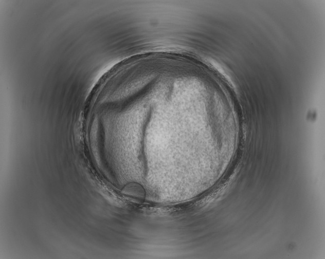 X0000090880875200708171643