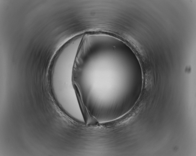 X0000090880876200708171643