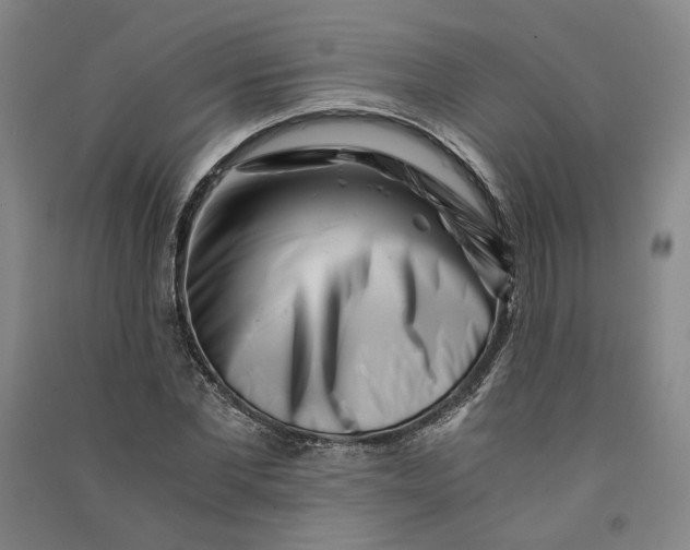 X0000090880877200708171643