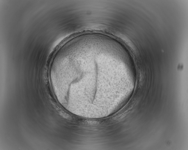 X0000090880878200708171643