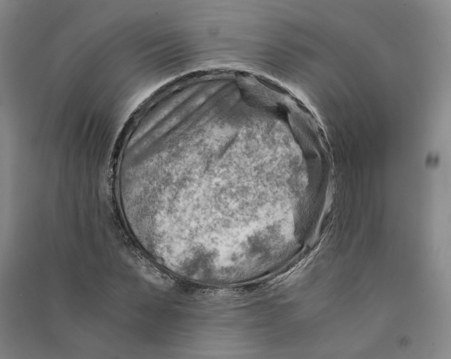 X0000090880879200708171643