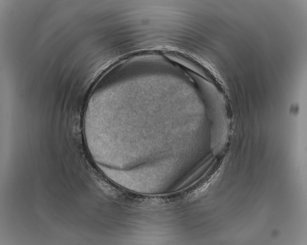 X0000090880881200708171643