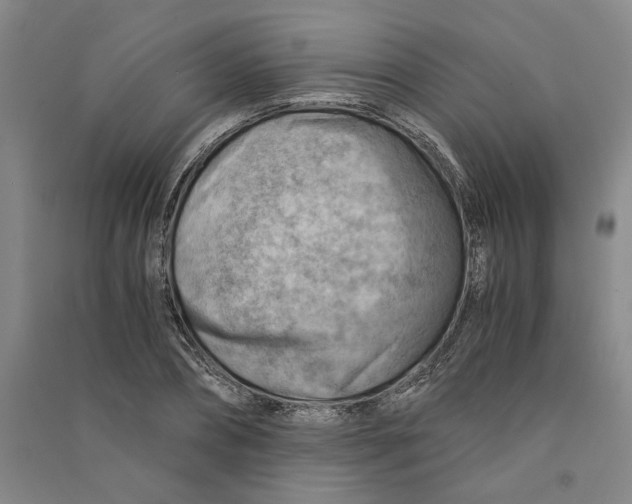 X0000090880882200708171643