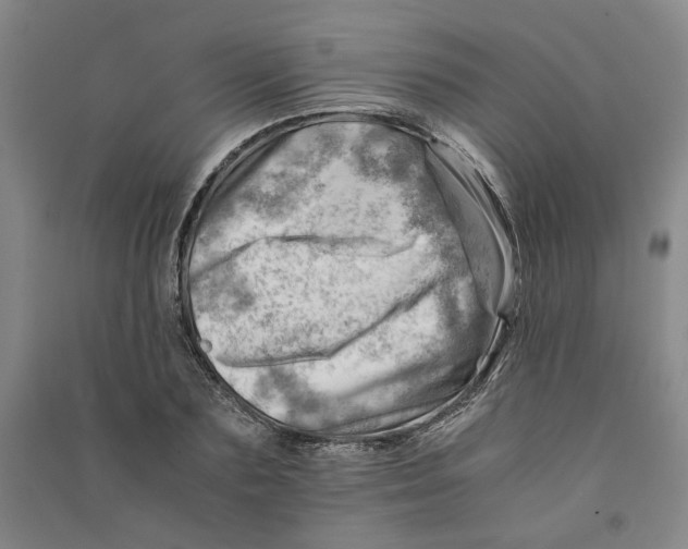 X0000090880883200708171643