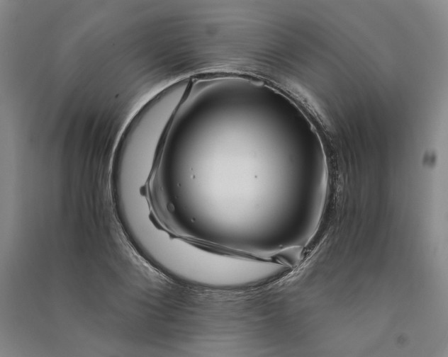 X0000090880884200708171643