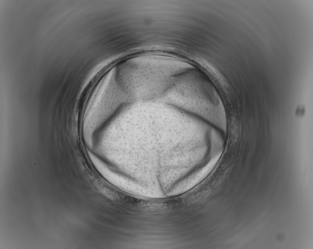X0000090880886200708171643