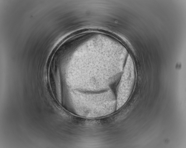 X0000090880887200708171643