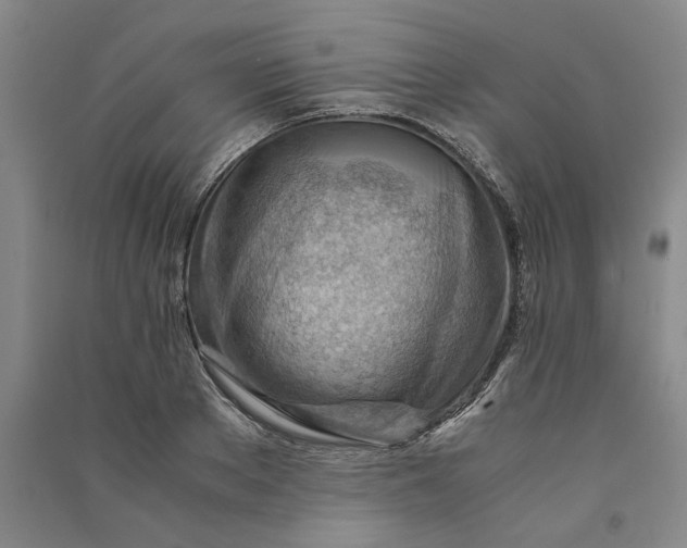 X0000090880889200708171643