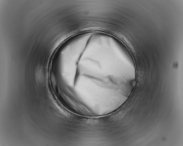 X0000090880890200708171643