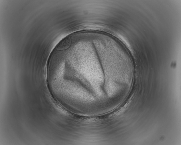 X0000090880891200708171643