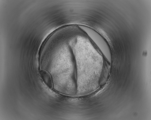 X0000090880892200708171643