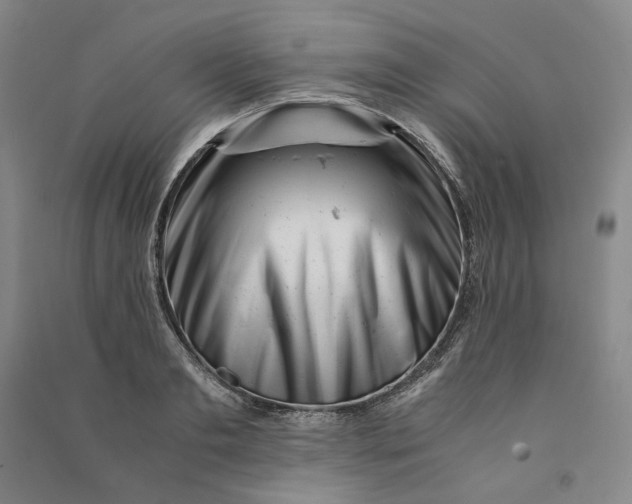 X0000090880893200708171643