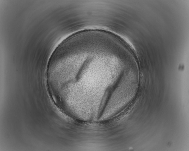 X0000090880895200708171643