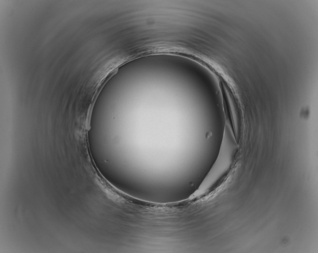 X0000090880897200708171643