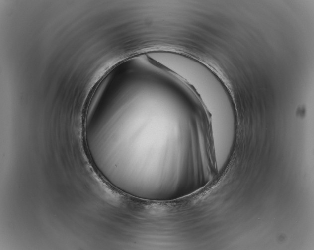 X0000090880898200708171643