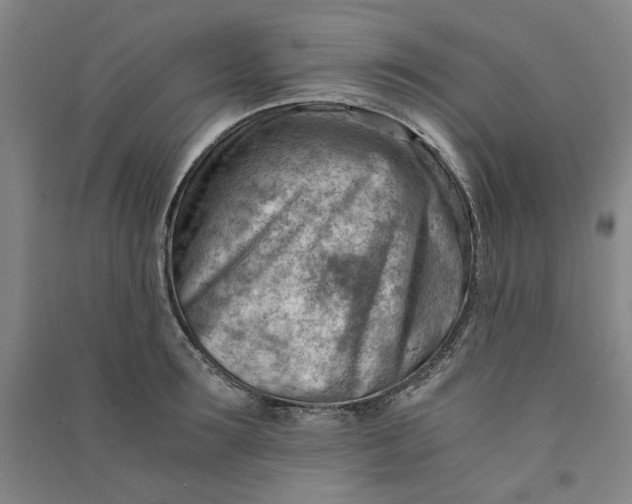 X0000090880899200708171643