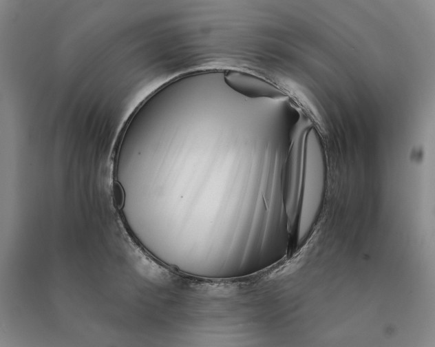 X0000090880900200708171643