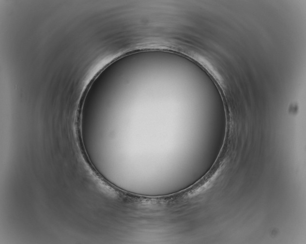 X0000090880901200708171643