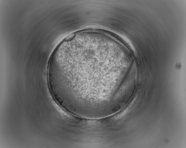 X0000090880903200708171643