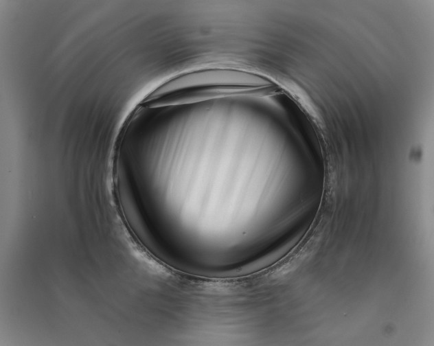 X0000090880904200708171643