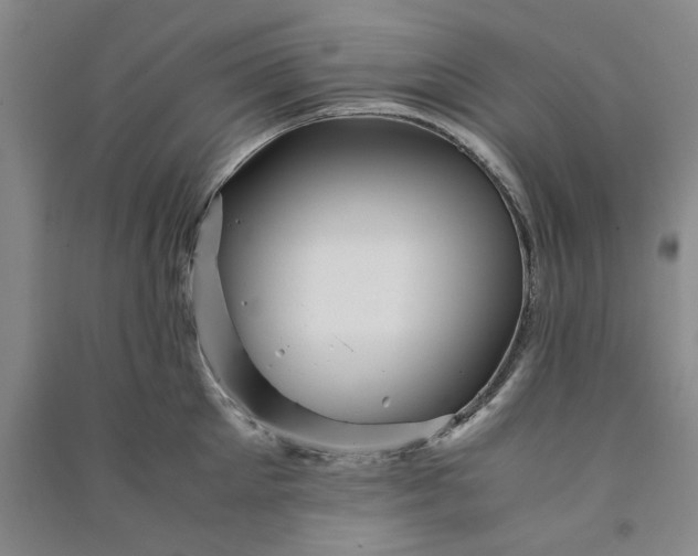 X0000090880905200708171643