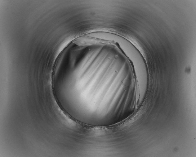 X0000090880906200708171643