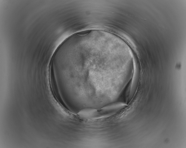 X0000090880907200708171643