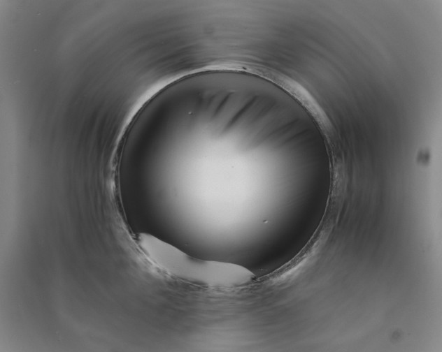 X0000090880908200708171643