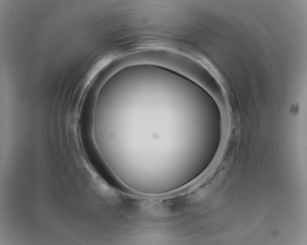 X0000090880909200708171643