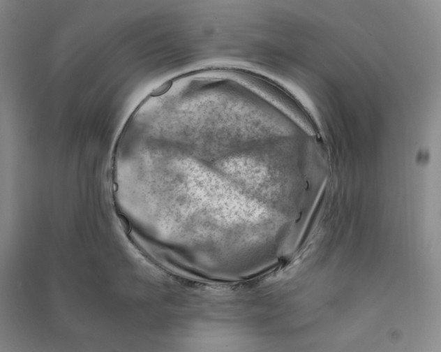 X0000090880911200708171643